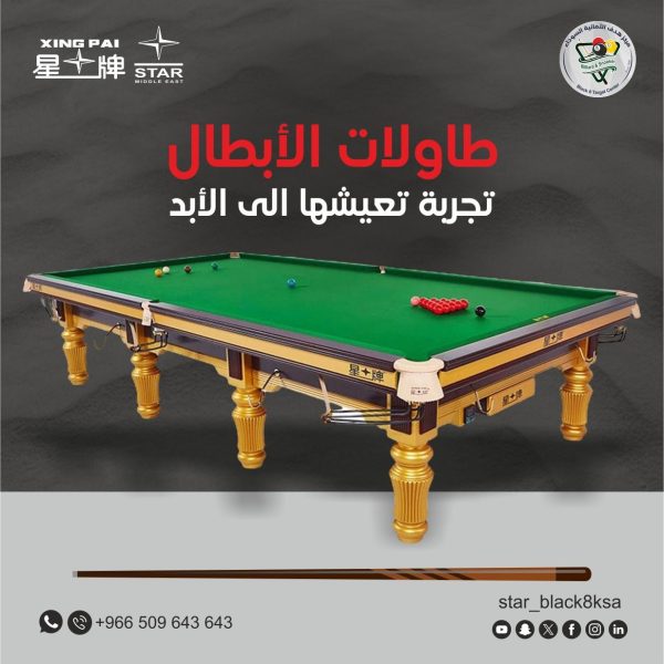 طاولة سنوكر  12 قدم  s101من شركة star